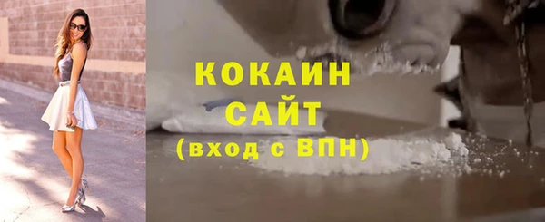 шишки Белокуриха